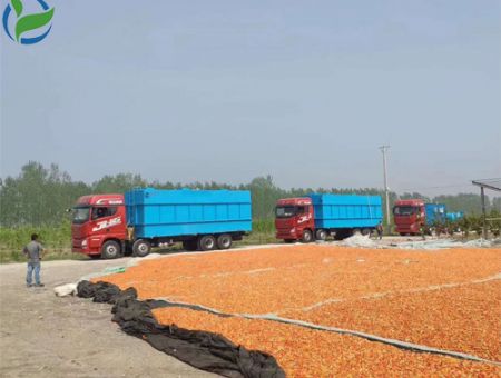 點(diǎn)擊查看詳細(xì)信息<br>標(biāo)題：云南ao一體化污水處理設(shè)備 閱讀次數(shù)：3141